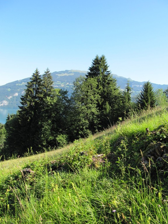 Ausblick Richtung Niederhorn