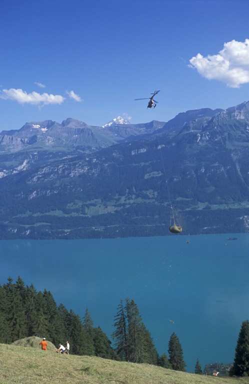 visualimpact.ch/ThomasUlrich