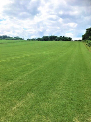 道南地区生産圃場