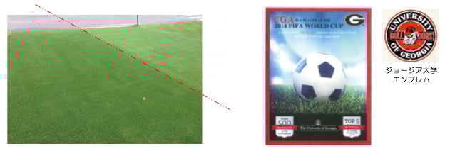 左：ティフグランド　右：ティフウェイ