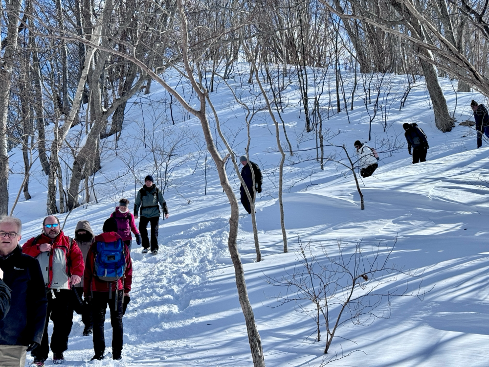 Eine leere Skipiste im Sonnenschein mit bewaldeten Bergen im Huntergrund