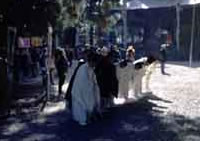 山住神社春の大祭