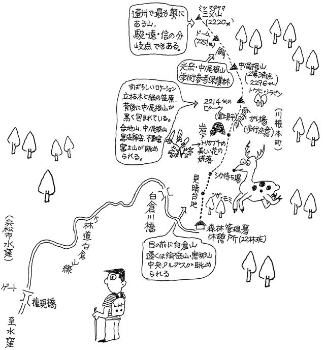 中ノ尾根山山登りガイド