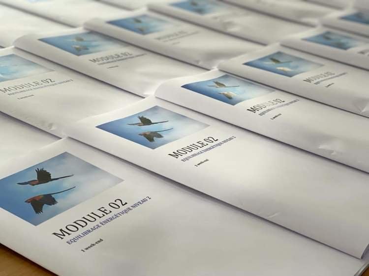 Syllabus du module 2