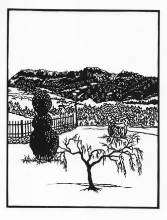 Scherenschnitt, Hohgant, Ausstellungen