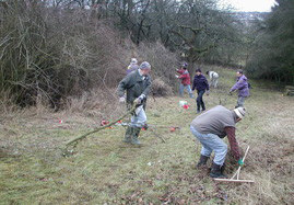 Arbeitseinsatz in den Dachslöchern