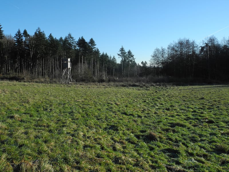 In diesem Bereich bildet sich die Usa