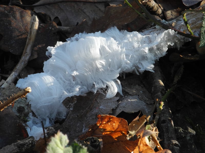 Naturphänomen Haareis