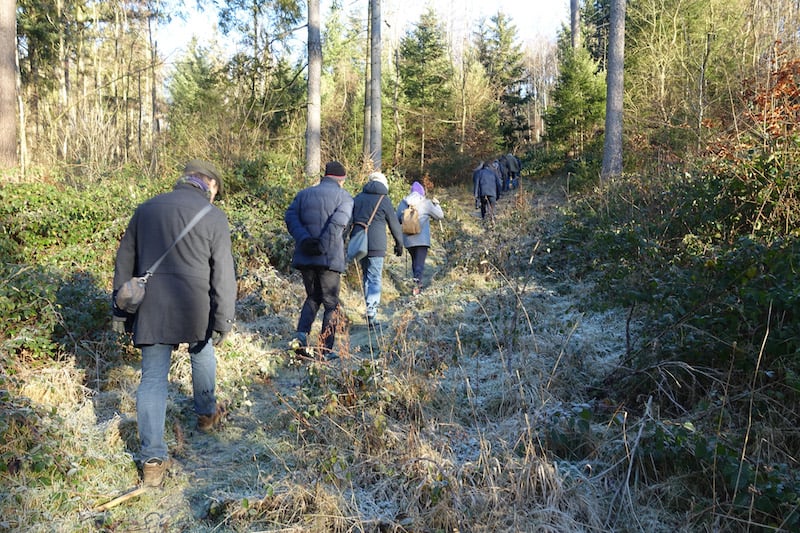 Dank Frost gut begehbare Wege