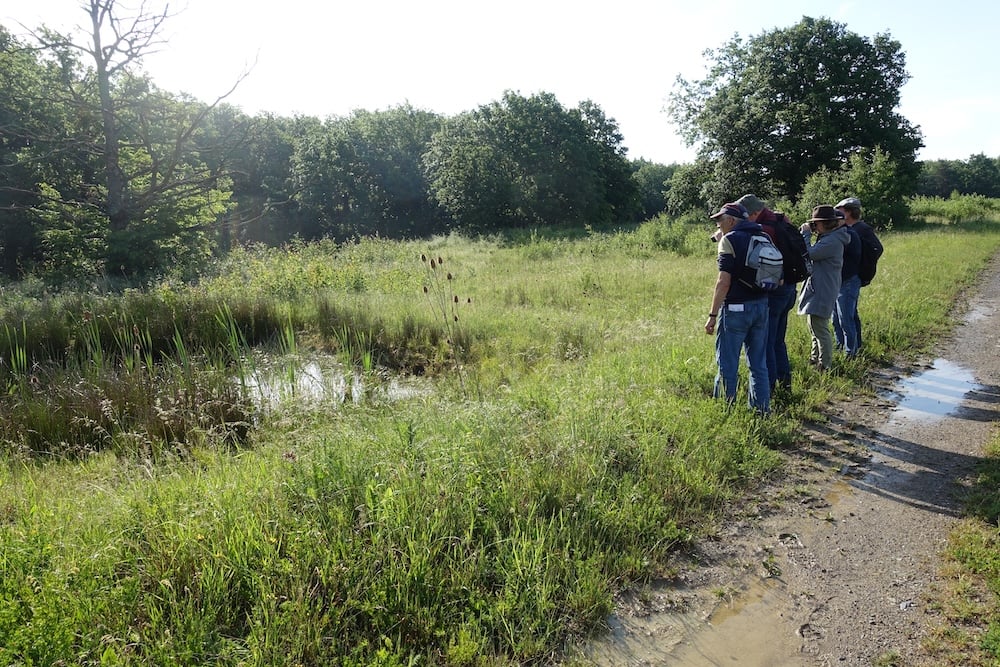 Auch die Tümpel sind interessant