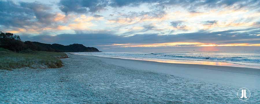 Morning Tallows P-109