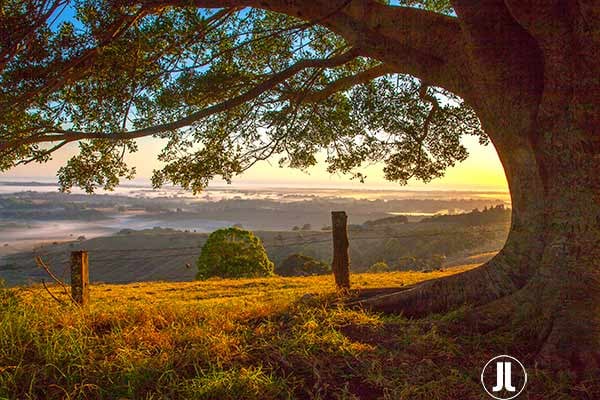 Misty Valley Coolamon Ridge Left L-197
