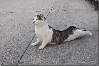 I'm stretching seriously.