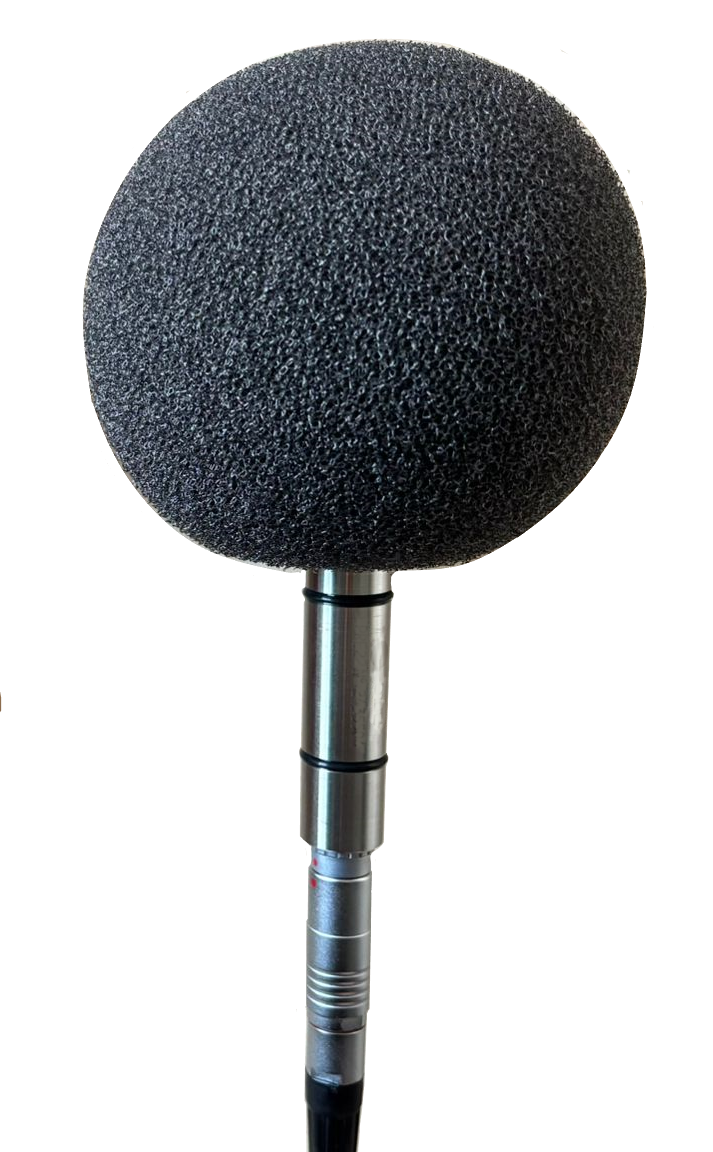 Microphone