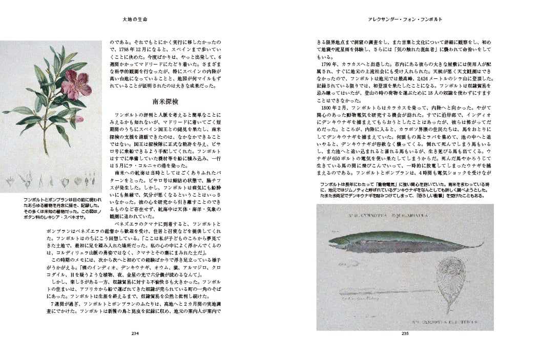 アレクサンダー・フォン・フンボルト２