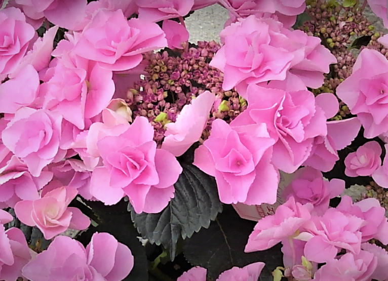 見合いの成功術（その４/４）