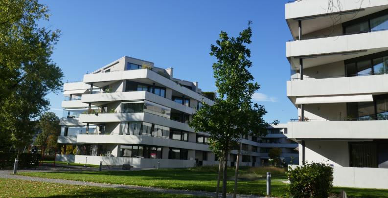 Druck des Parlaments wirkt! Winterthurer Stadtrat zieht überrissener Grünflächenziffer den Stecker