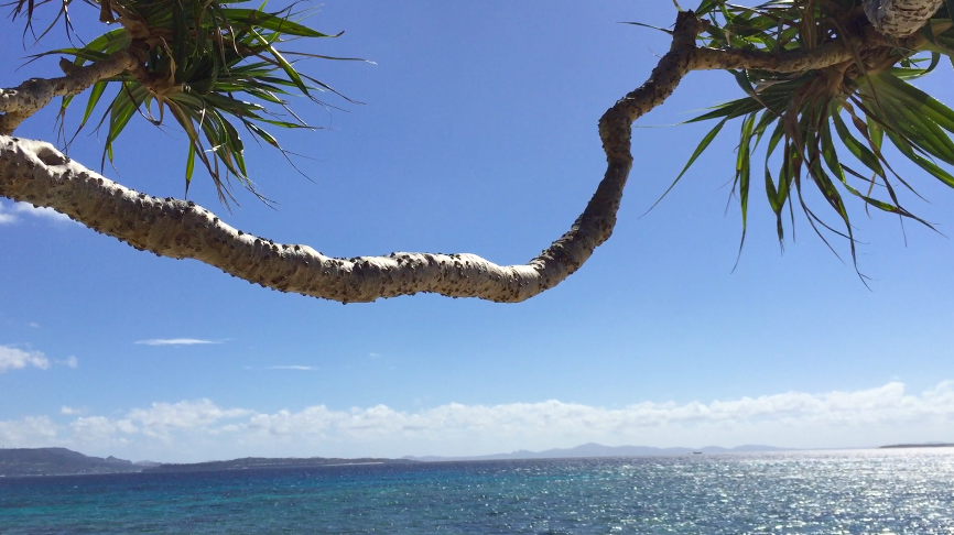沖縄からだケア