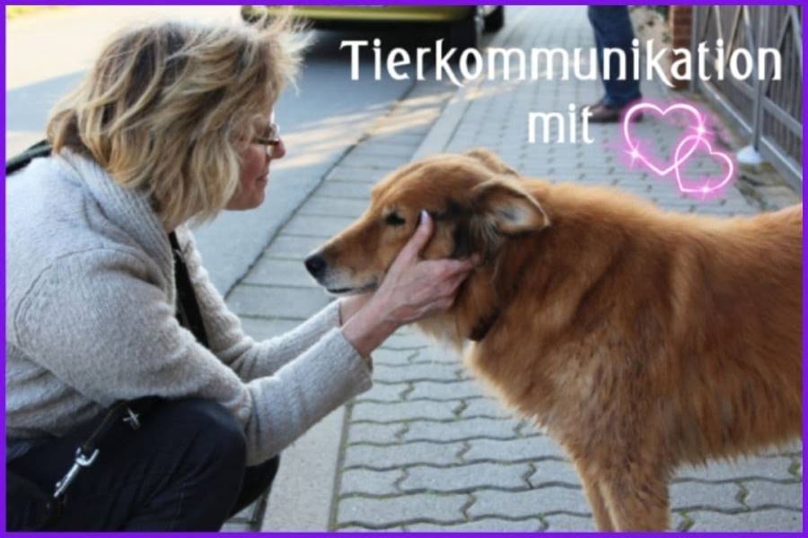 Das Besondere an unseren Tieren