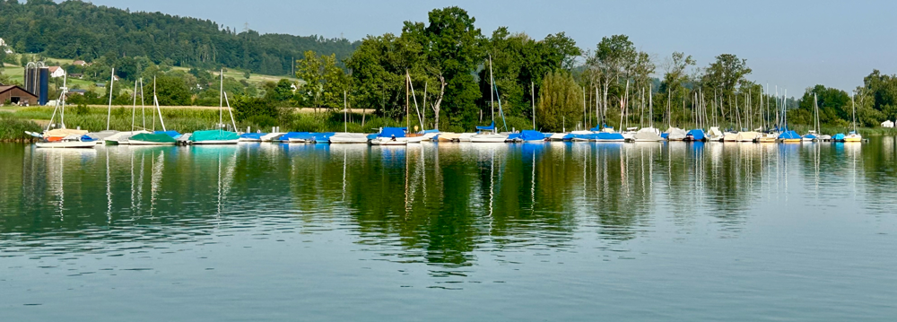 Segelboote am Greifensee. 