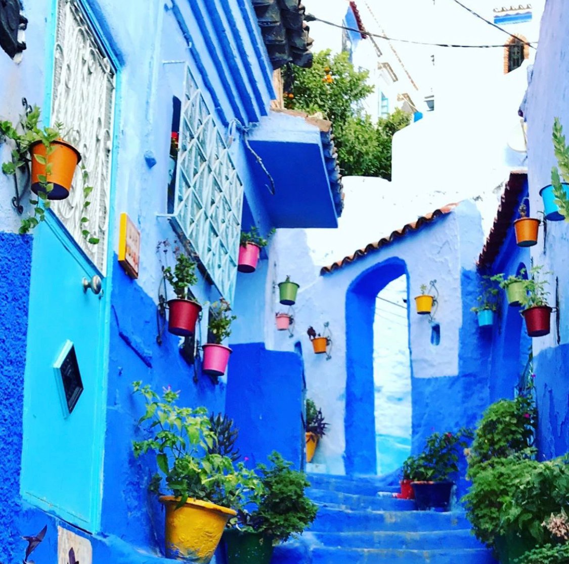 【お知らせ】2021年3月にモロッコに戻ります