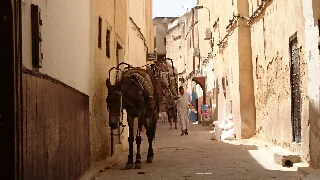 モロッコ・フェズ旧市街。私、この1200年前につくられた歴史ある壁に惚れたんです♡　青い街シャウエン在住Mikaのブログ