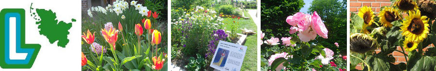 LandFrauenVerein Hürup