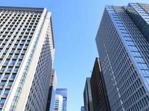 ダイナミック・ケイパビリティ: 変革する能力