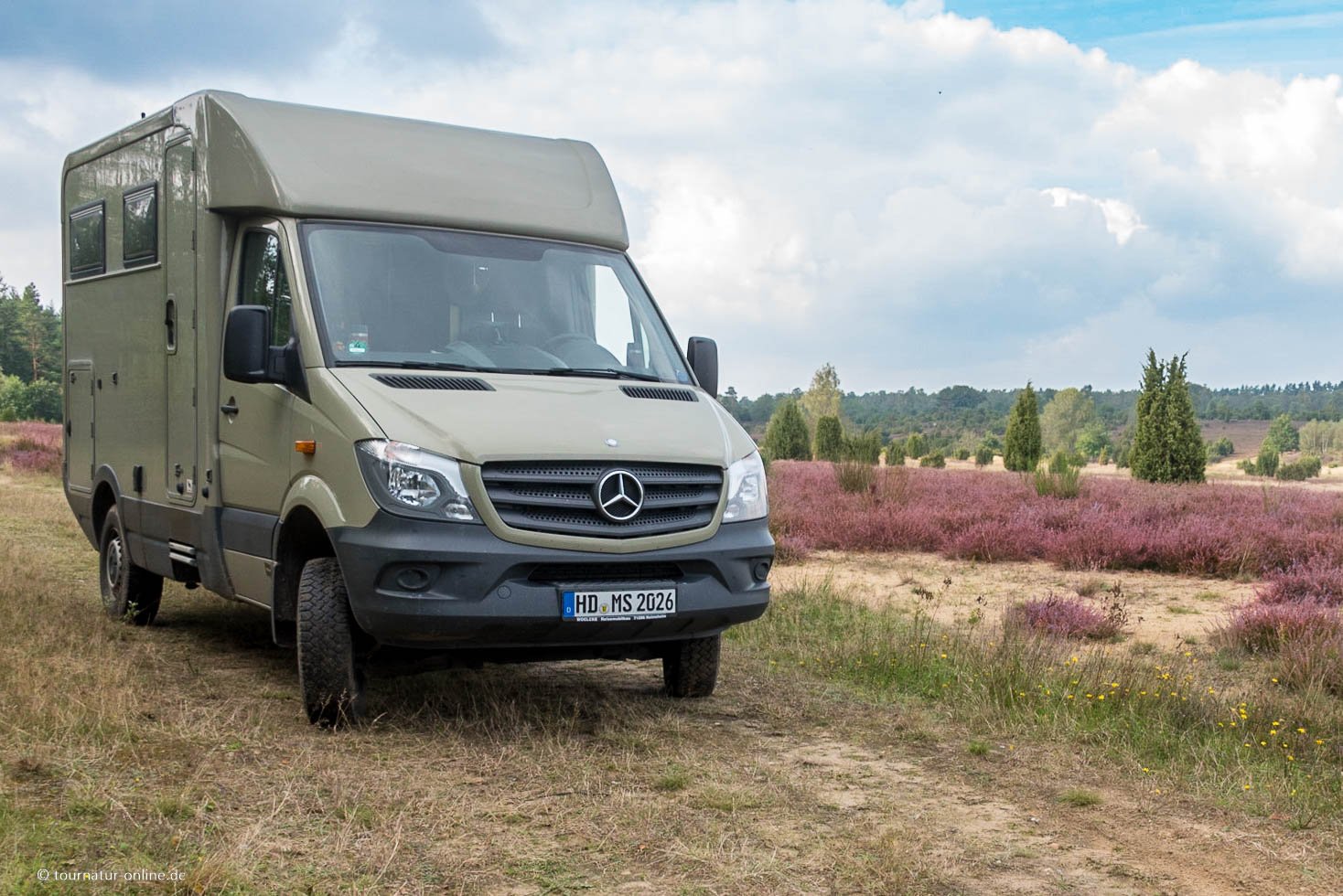 Die Lüneburger Heide