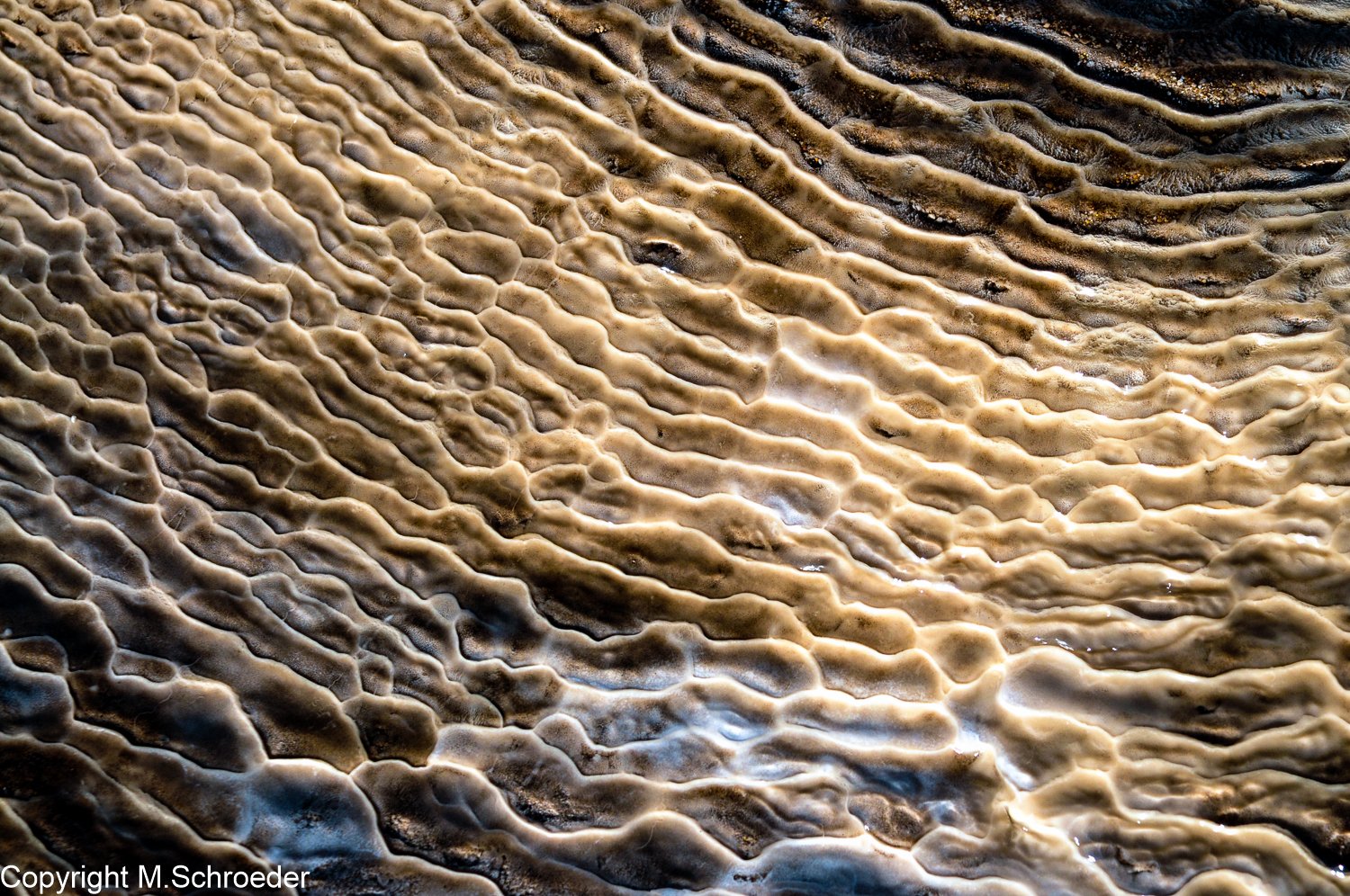 Die höchstgelegenen Geysire der Erde