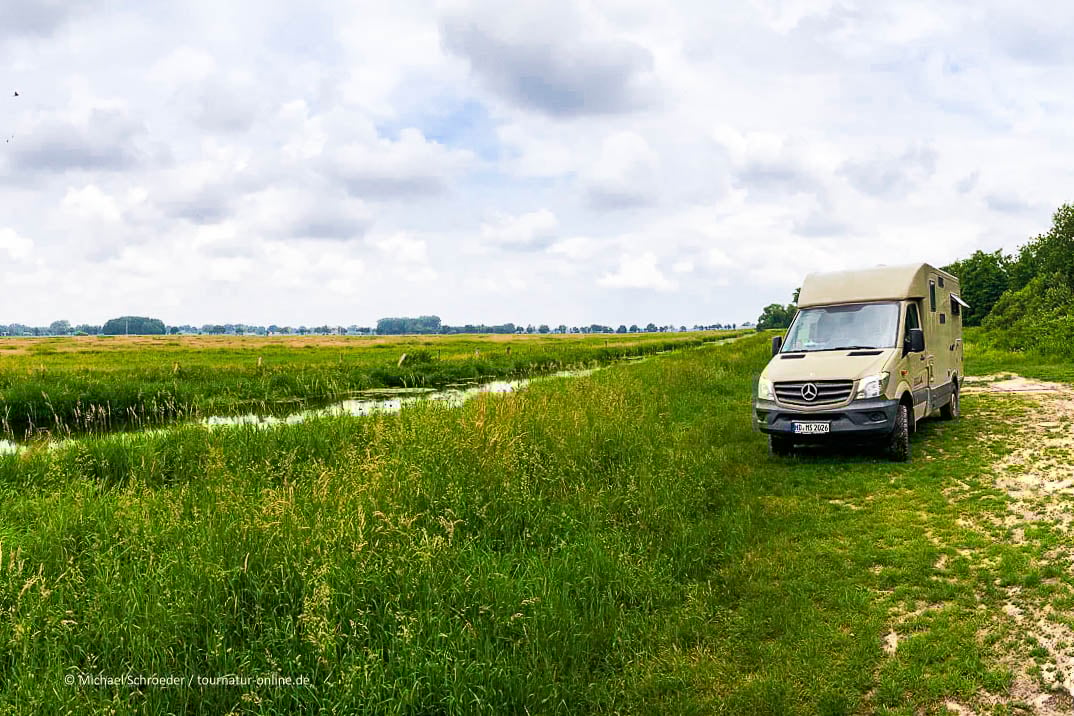 Ein Streifzug durch die Diepholzer Moorniederung