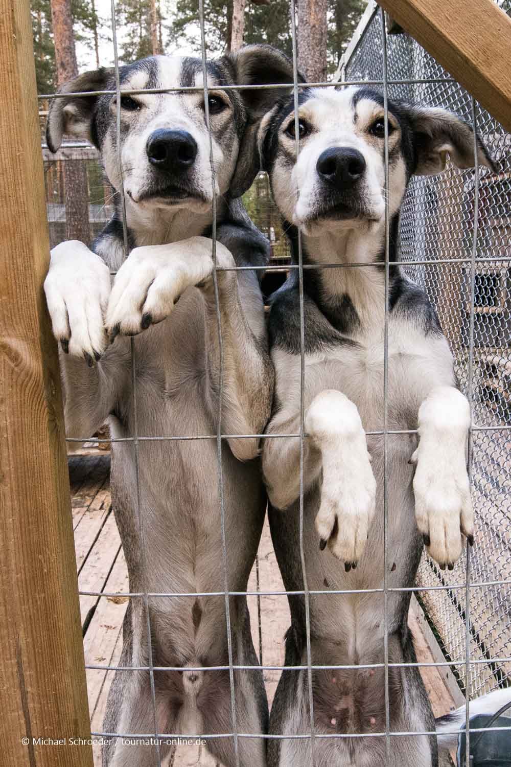 ... warten, bis es endlich losgeht ...
