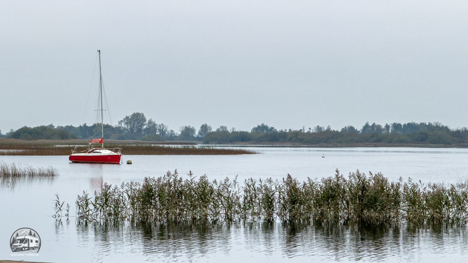 Irland - entlang des Shannon