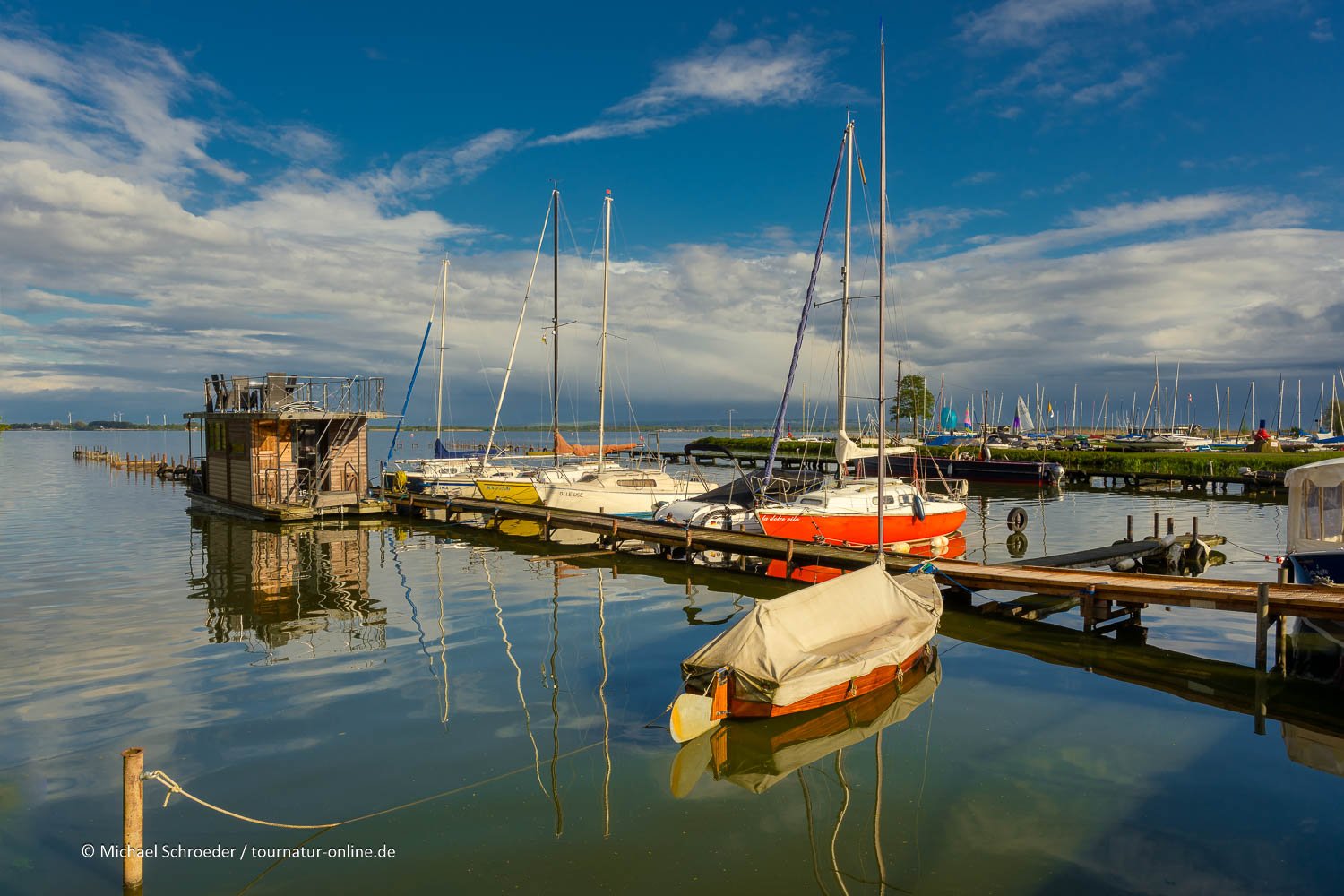 Diepholzer Moorniederung