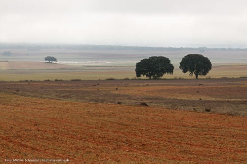 - Steppe von Pétrola