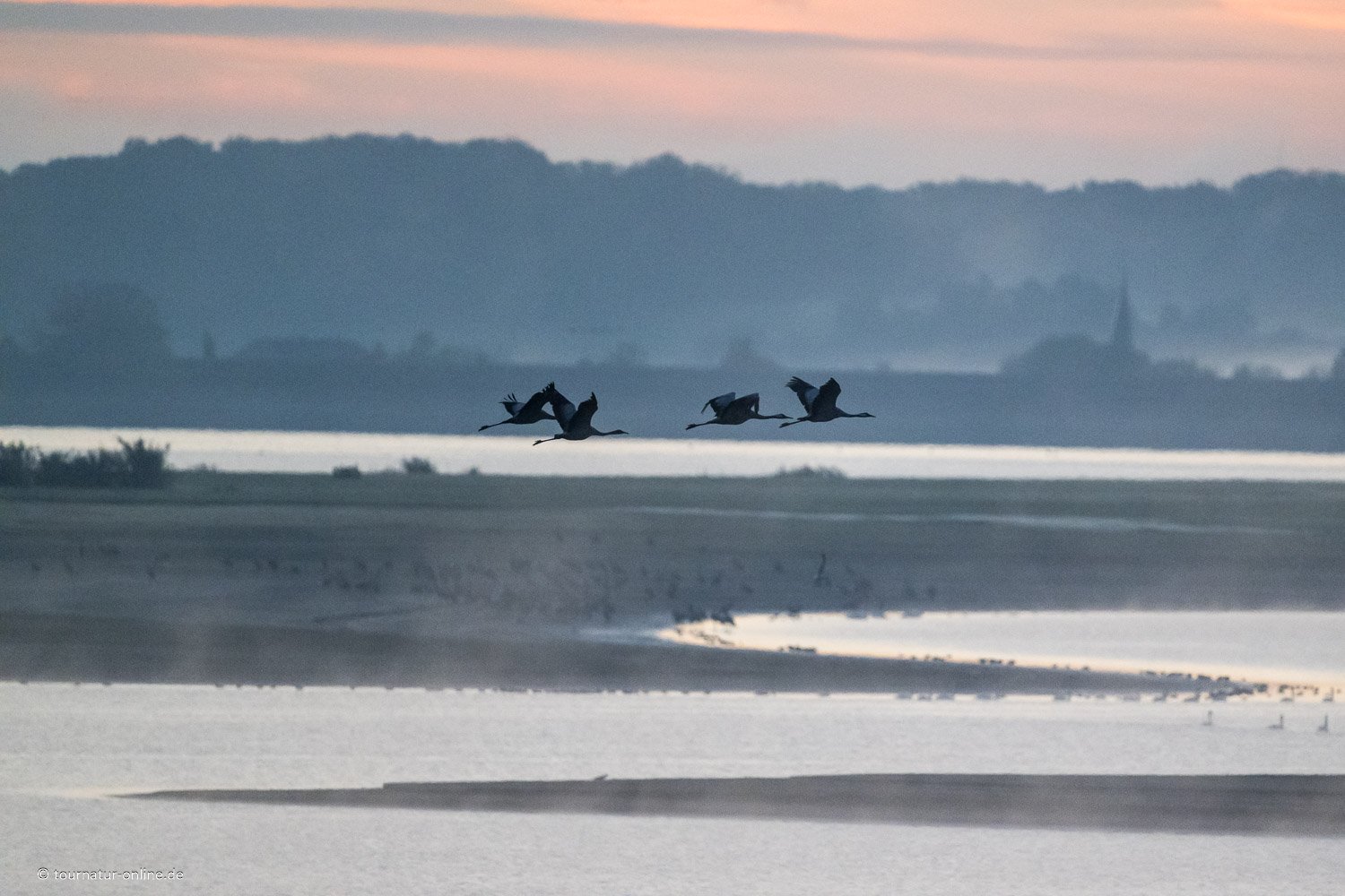 Lac du Der - im Nordosten Frankreichs