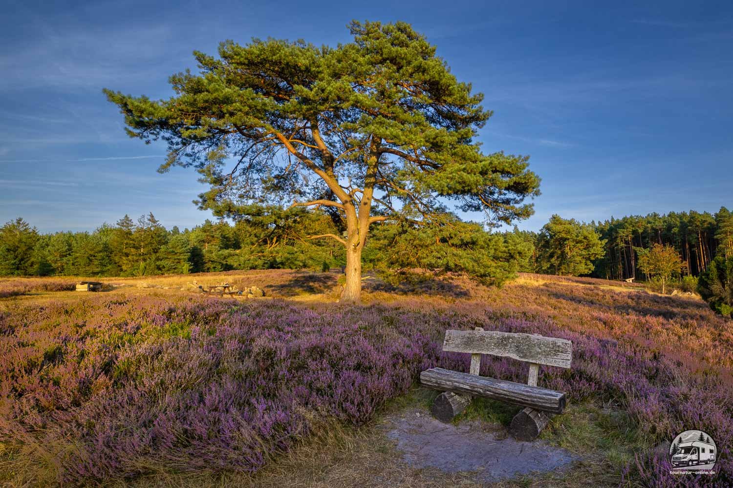 Die Lüneburger Heide