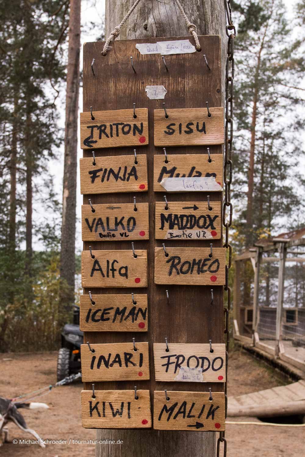 ... die Reihenfolge ist genau festgelegt ...