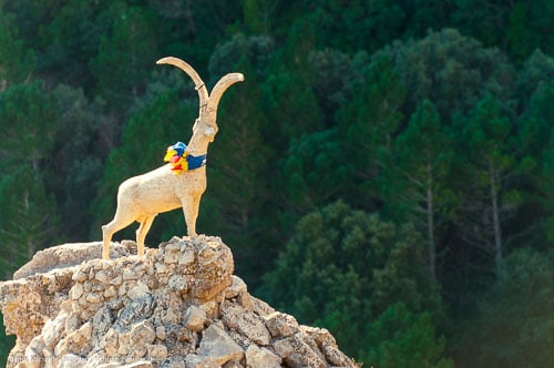 - Parc Natural Dels Ports und Costa del Azahar