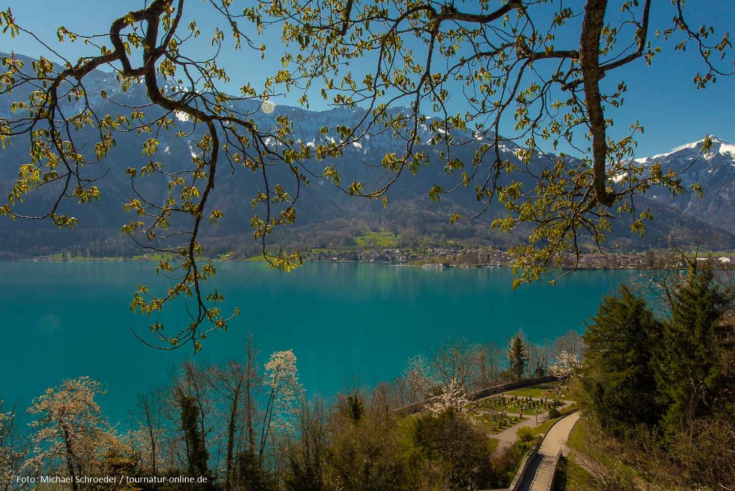 Ringgenberg am Brienzer See