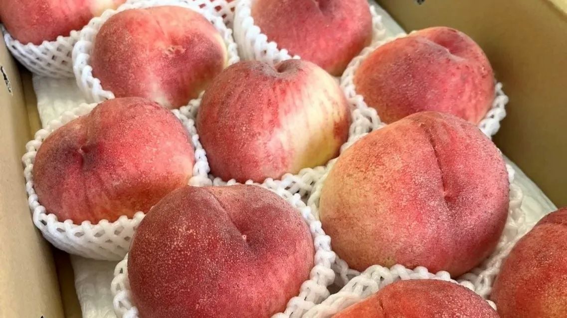 桃をいただきました