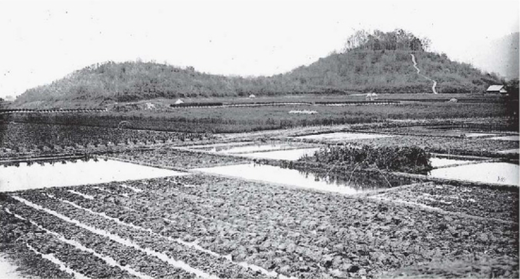 邪馬台国の女王卑弥呼の墓という説もある箸墓古墳 倭迹迹日百襲姫命の大市墓