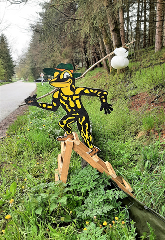 Feuersalamander zu schützen