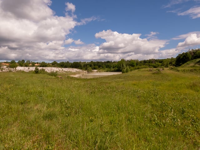 Naturschutzgebiet Grube Rolf  Foto: Edgar Mertens