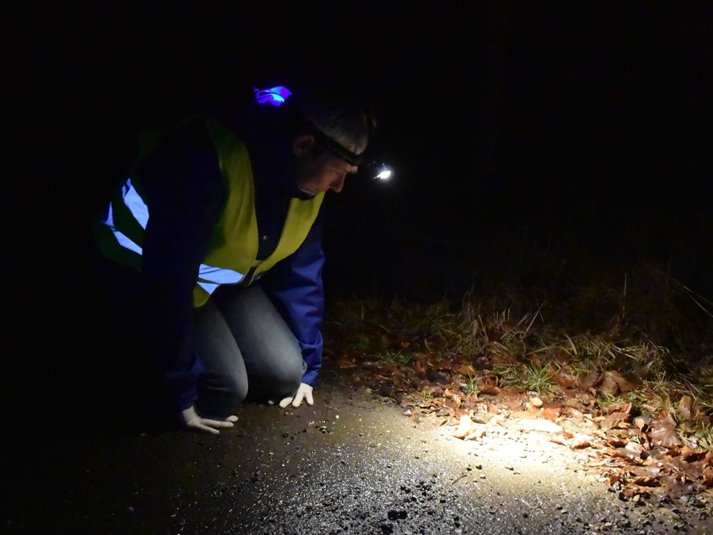 Tanja-Burggraf-Kuehl beim erkunden der Amphibien Foto: Marion Zöller