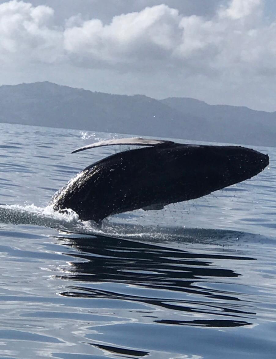 Dance the Joy - Las Terrenas Urlaub - DomRep - Gabriele Schlick
