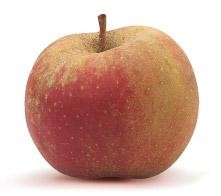 Pommes de la maison Gerday (Verlaine sur Meuse)