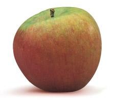 Pommes de la maison Gerday (Verlaine sur Meuse)