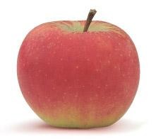 Pommes de la maison Gerday (Verlaine sur Meuse)