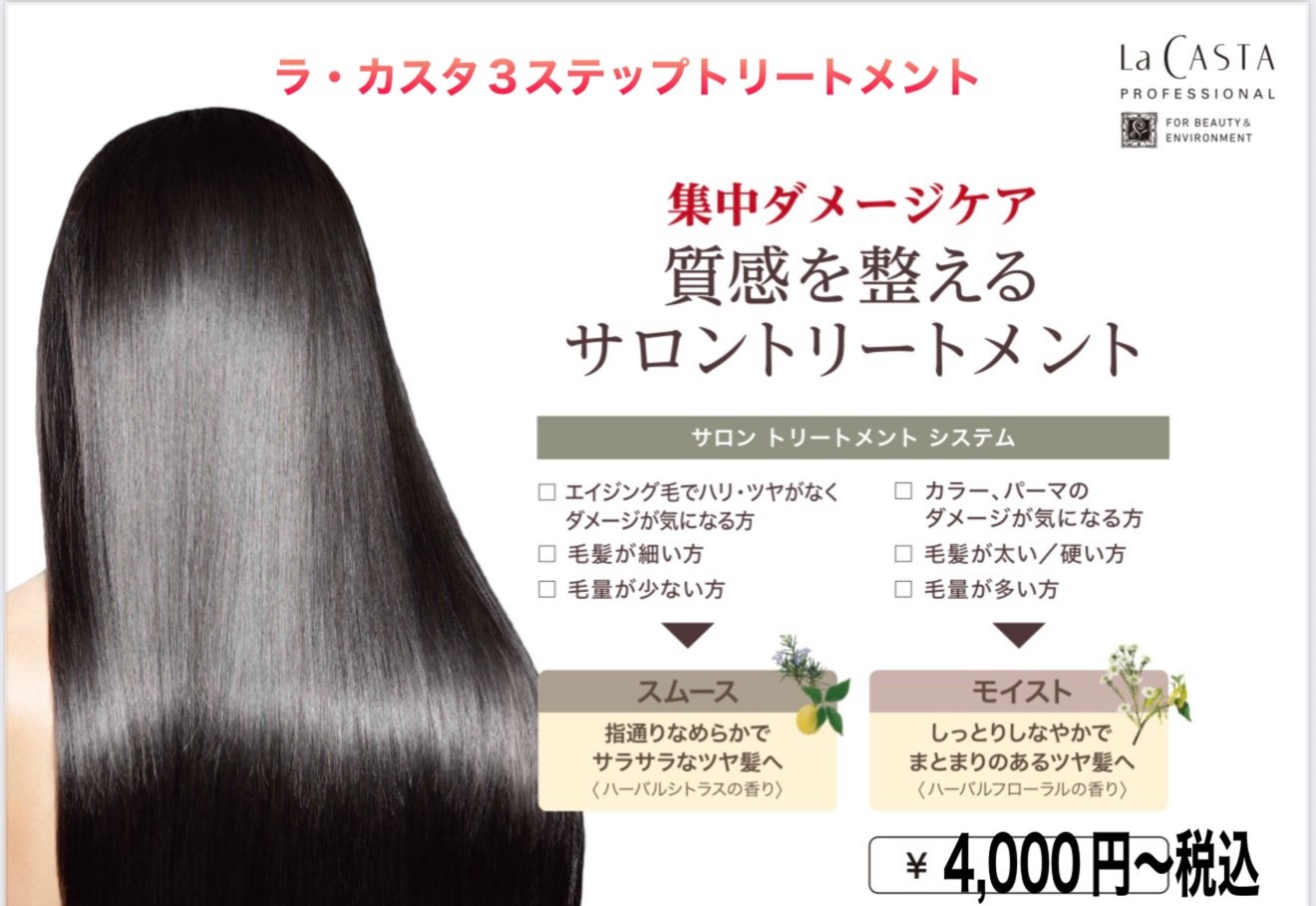 ラ・カスタシステム導入